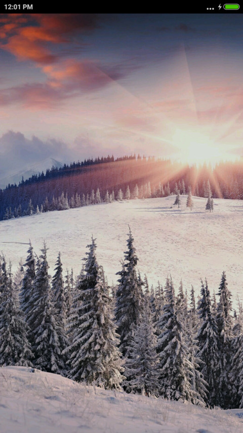 雪境（抽奖动态） screenshot