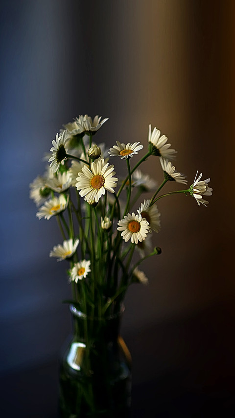 Fresh spring bouquet of wildflowers screenshot