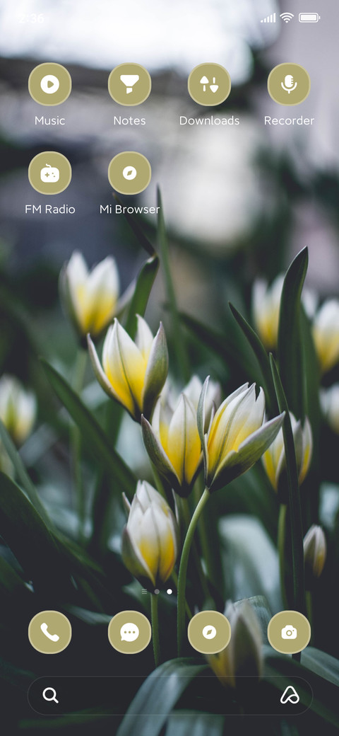 Lily screenshot