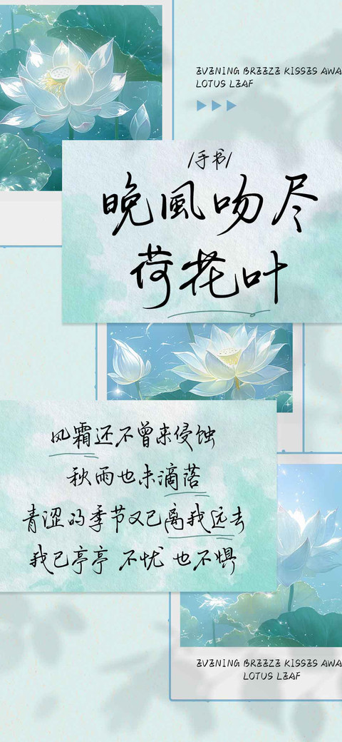 晚風吻尽荷花叶手书 screenshot