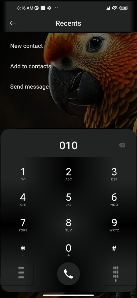 Golden Parrot screenshot