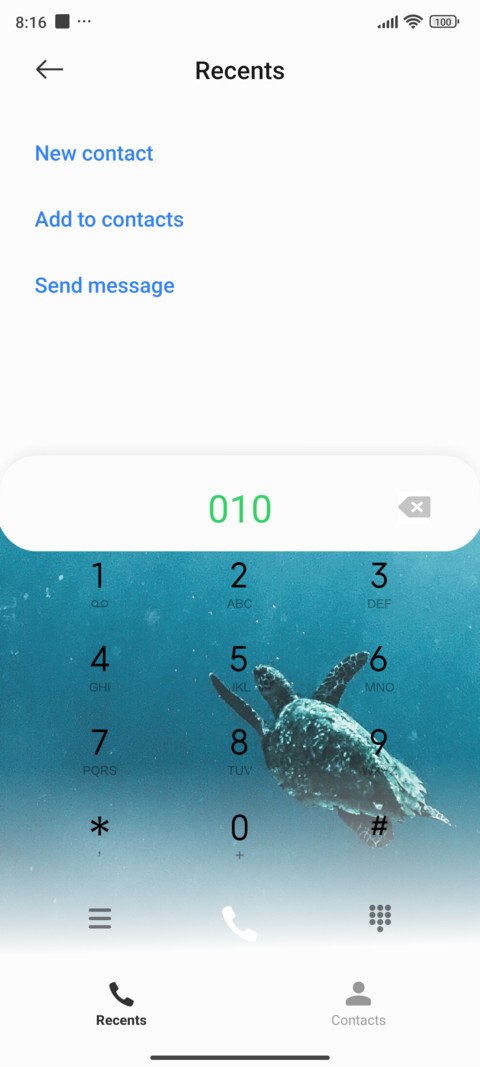 The Last Turtle screenshot