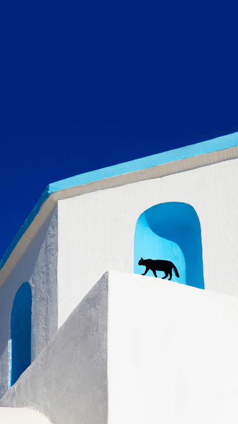 The black cat in the church screenshot