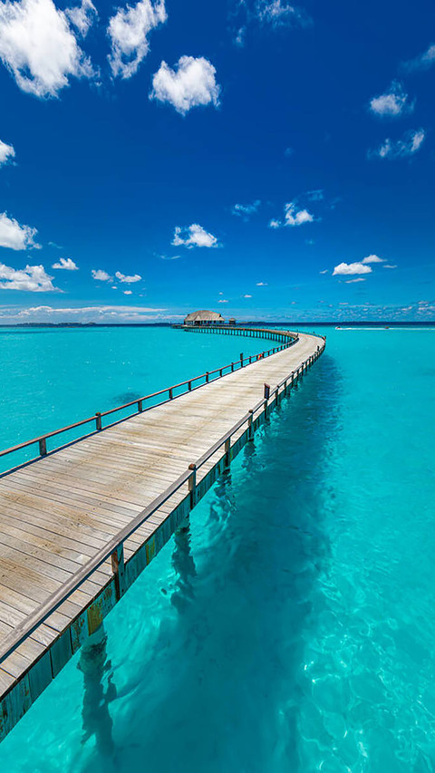 Go to Maldives screenshot