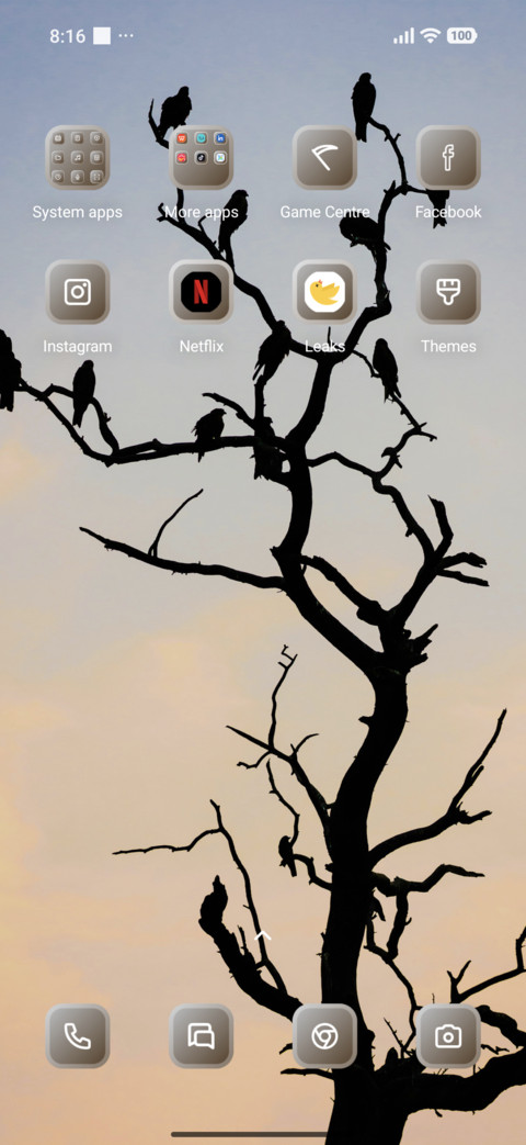 Birds screenshot