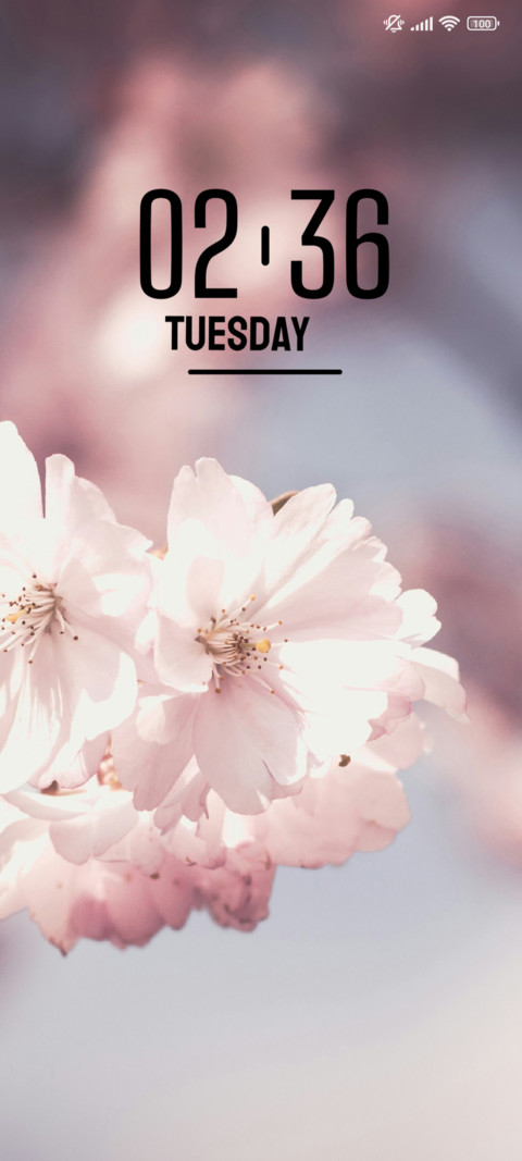 Cherry Blossom screenshot