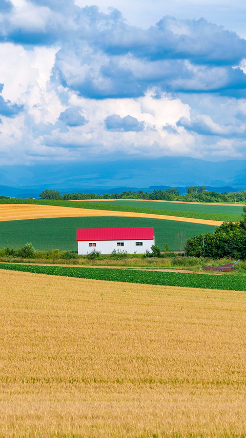 Lonely house in fields , Biei , Hokkaido screenshot