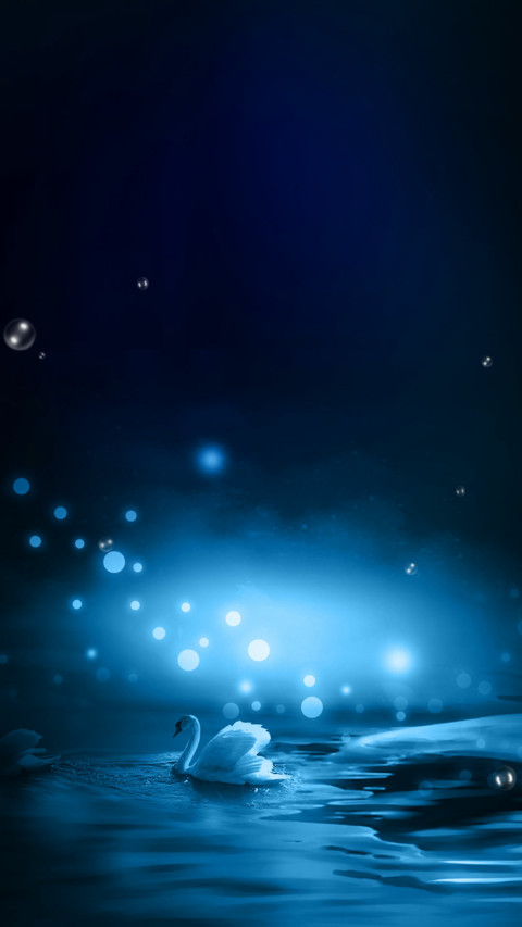 破碎的天鹅湖 screenshot