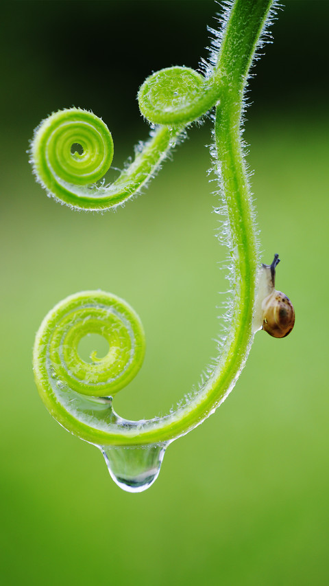 Introduction to Basic Knowledge of Macro Photography 6 screenshot