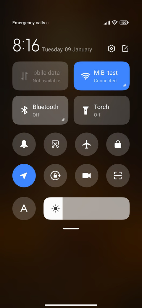 Blooming flowers screenshot
