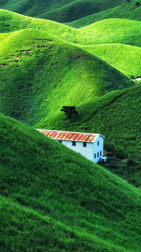 Red roof 2 screenshot