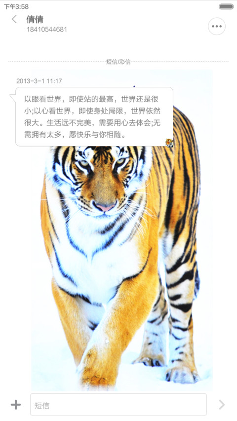 下山虎（动态桌面+百变虎眼图标+解锁音效） screenshot