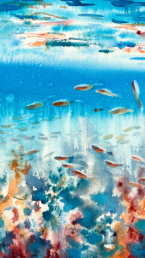 Lucky Koi Fish Illustration screenshot