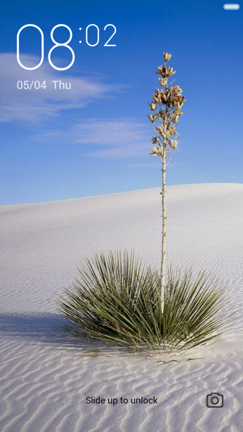 Desert screenshot
