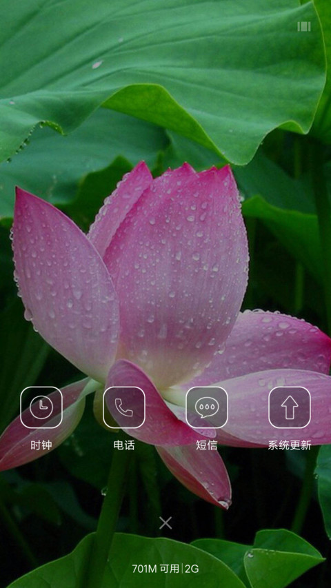 夏日荷花 screenshot