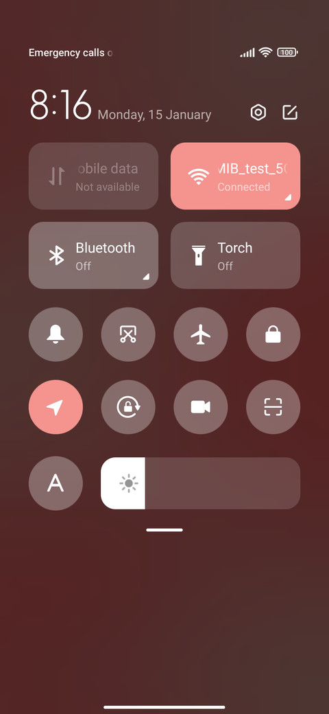 Custom check-in screenshot