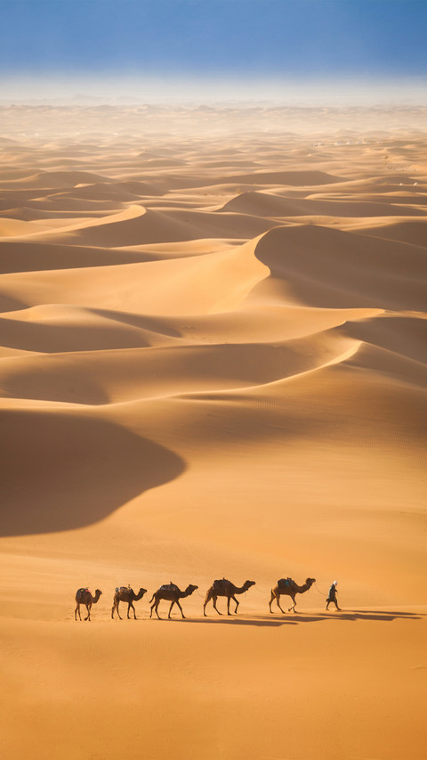 Man Leading a Team of Camels Through The Desert screenshot