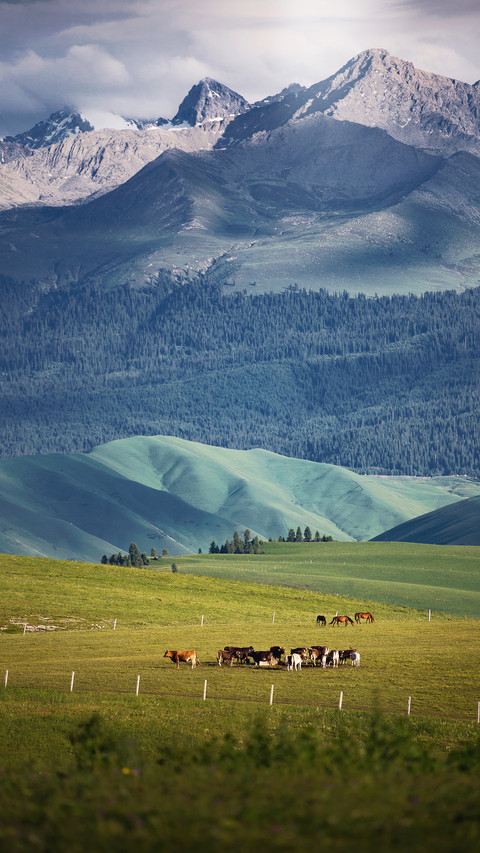 The peak of central asia in the tianshan mountains screenshot