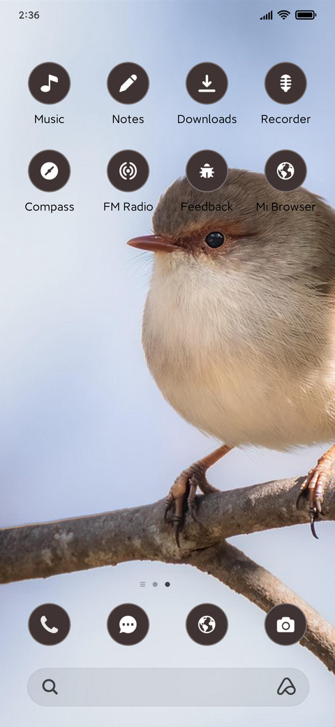 Soft Robin screenshot