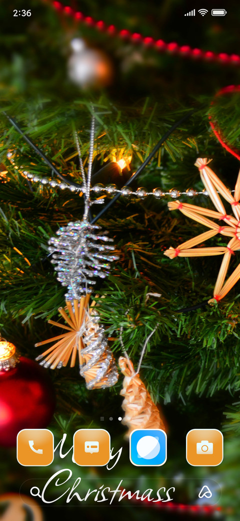 Delite Christmass screenshot