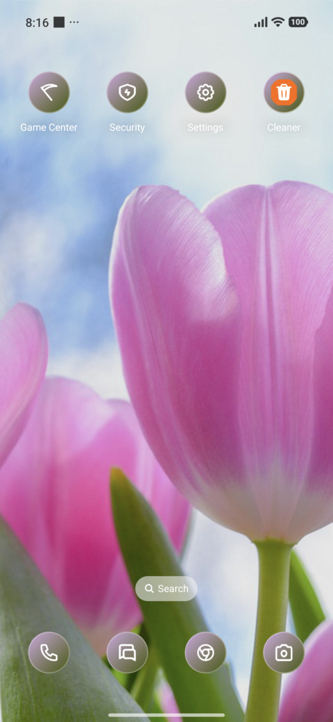 Pink Flowers screenshot