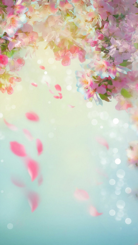 倾心 screenshot