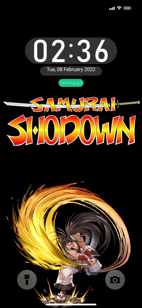 P-Samurai v12.5 screenshot