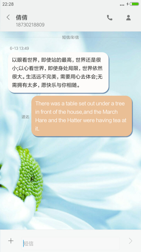 Flowers World screenshot
