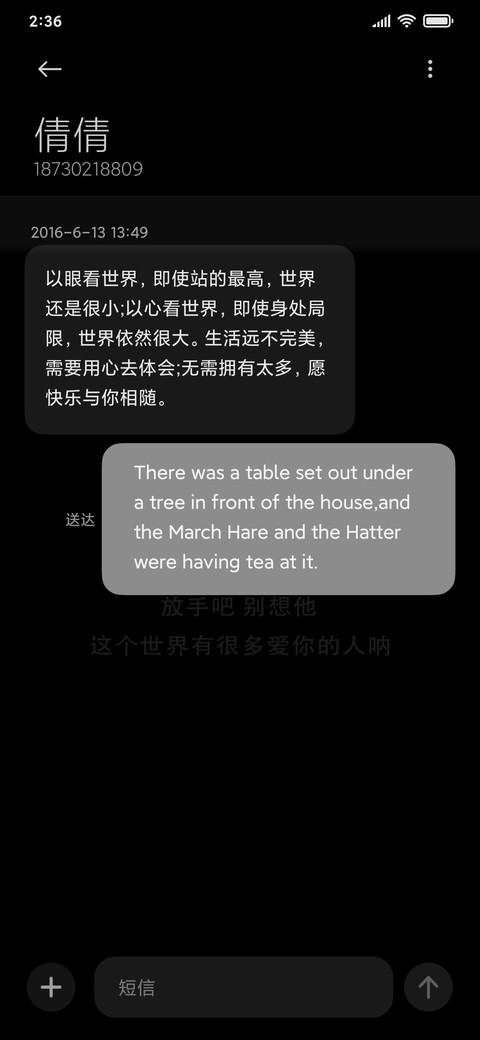 仿真爱情来电 screenshot