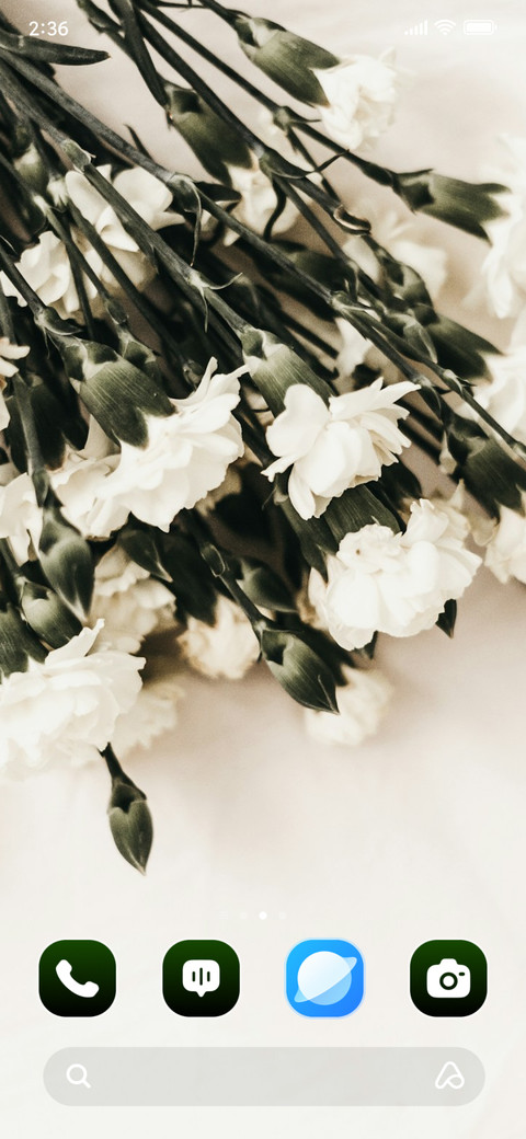 Soft Petals screenshot
