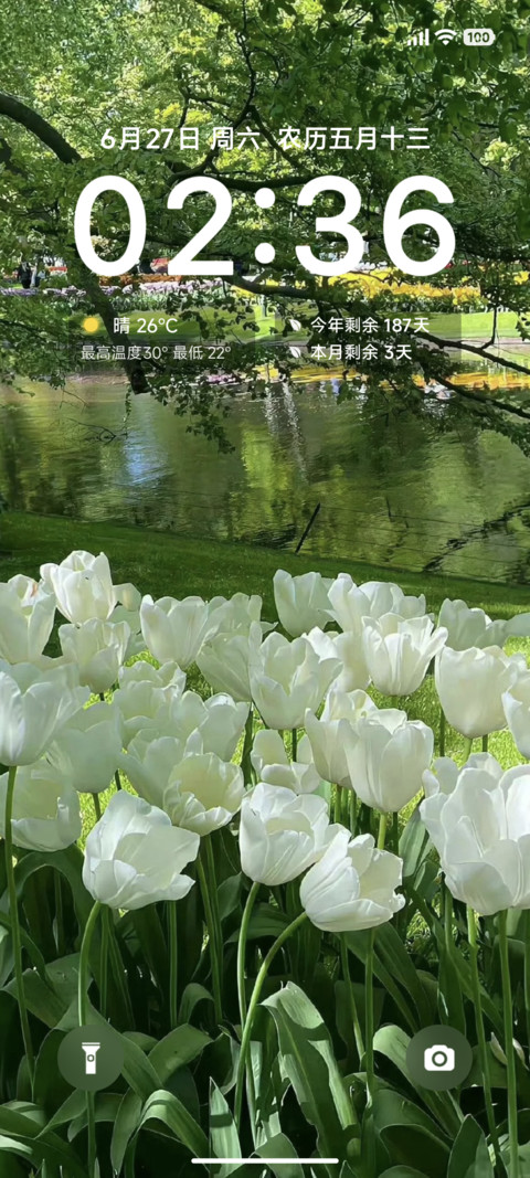 清新简约白郁 screenshot