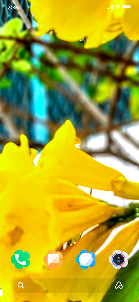 Yellow Elder_DWM2 screenshot