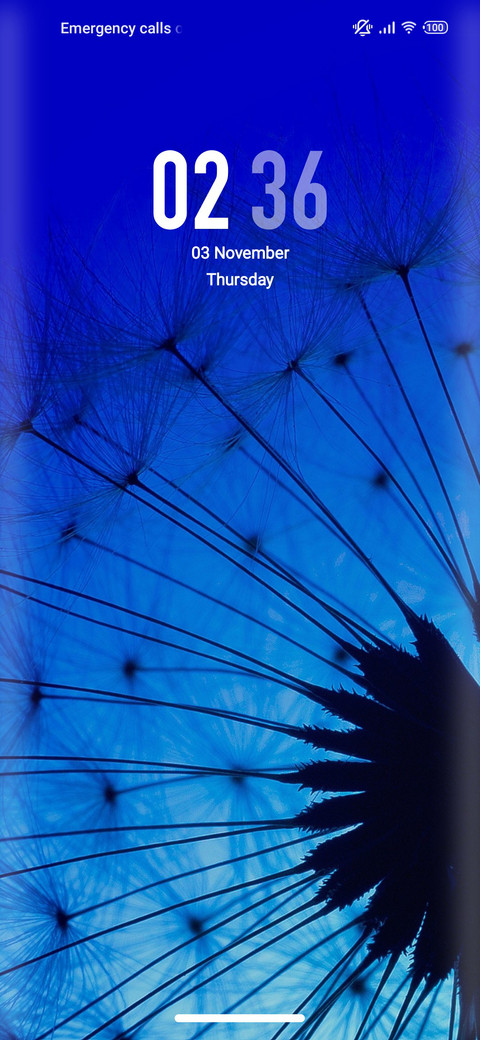 Flower_bud screenshot