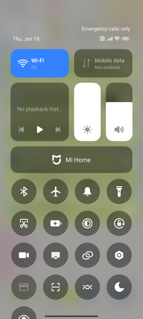 Colorful Fruits screenshot