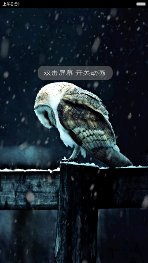 猫头鹰【自定义头像,文字,下雨特效】 screenshot