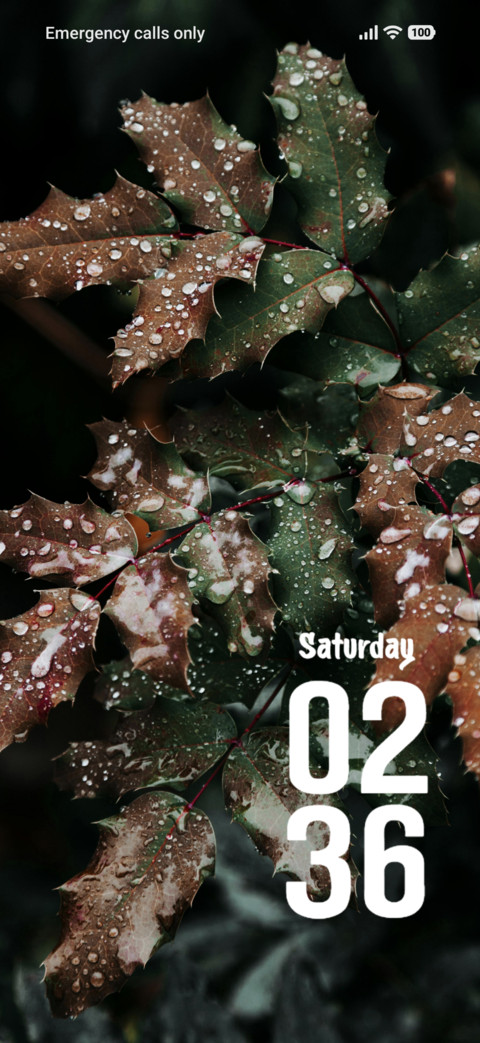 Fresh Leaves screenshot