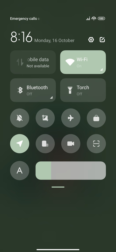Aligator screenshot
