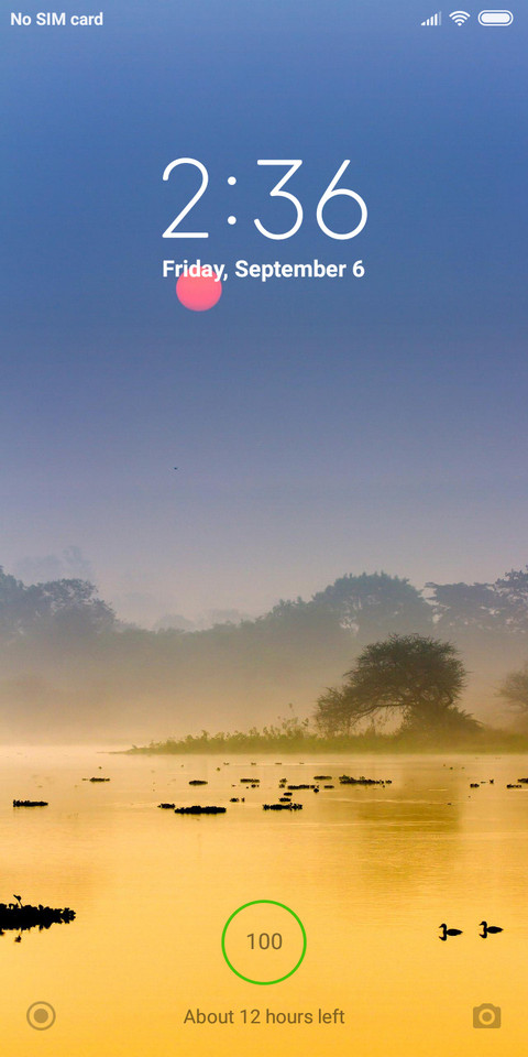 auto screenshot