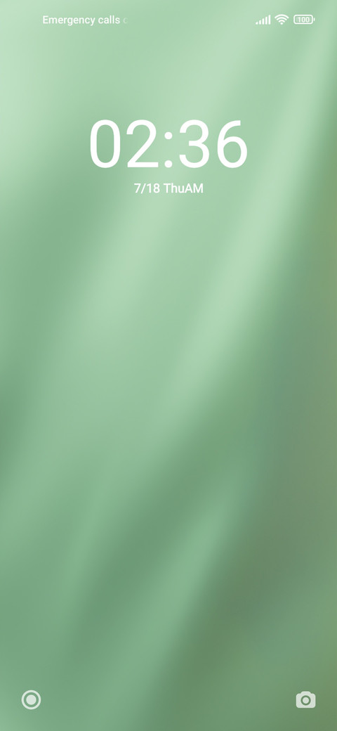 Green Curtains screenshot