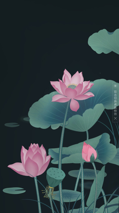荷小花 screenshot