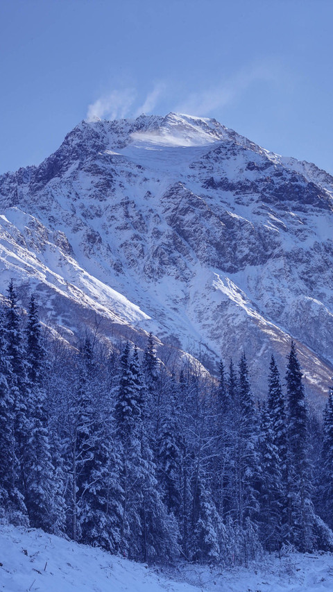 冬季自然雪景 screenshot