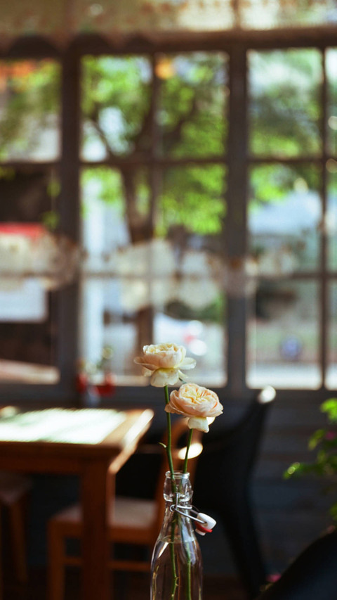 唯美花卉 screenshot
