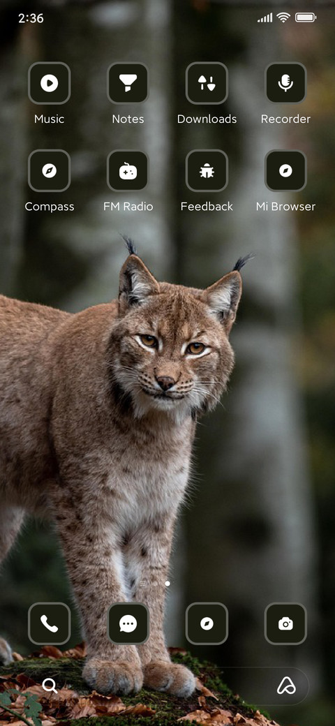 Lynx screenshot