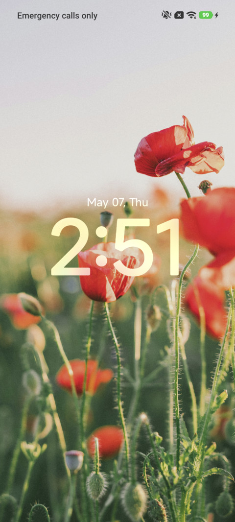 Red Poppies screenshot