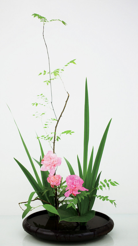 花艺禅说 screenshot