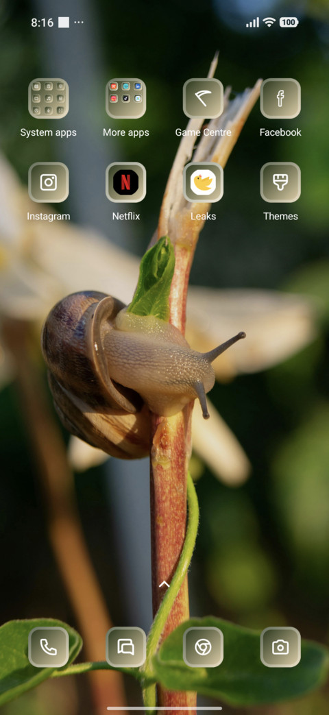 Snail screenshot