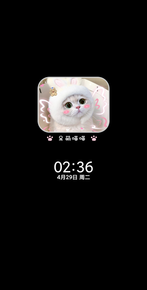 做你的猫署名自定义 screenshot