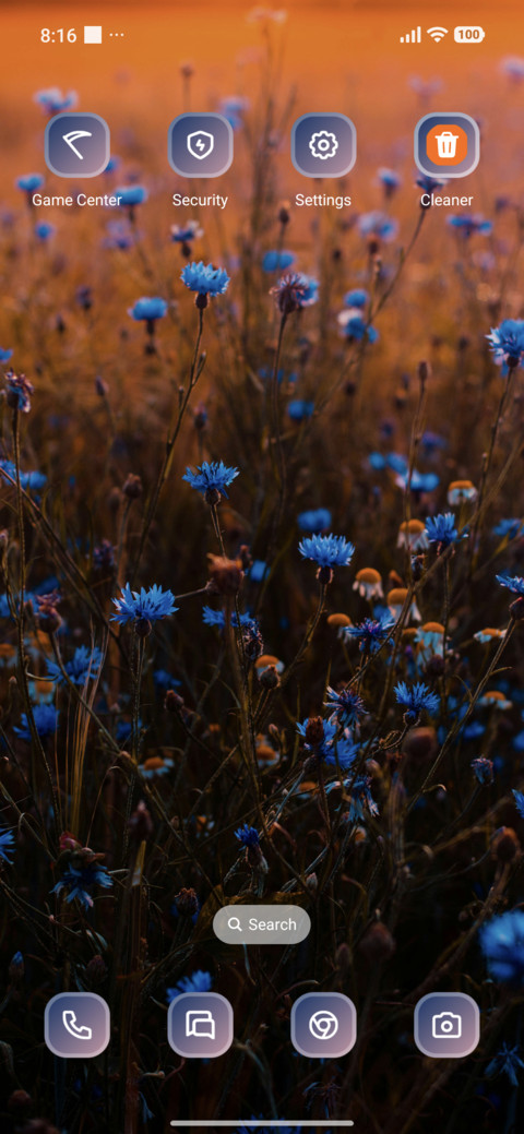 Blue Flowers screenshot