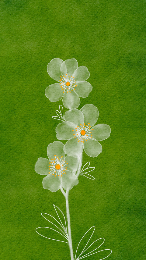 花影缀清欢 screenshot