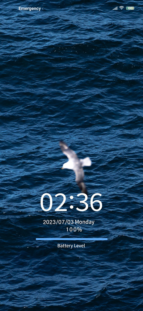 Gull Dreams screenshot